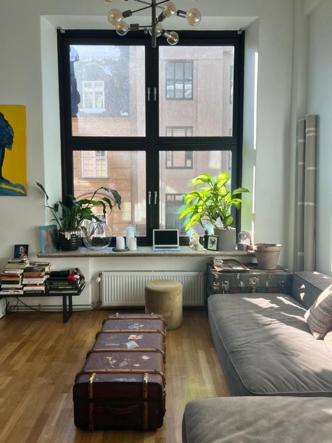 Art Loft In Downtown With Cinema * Oslo