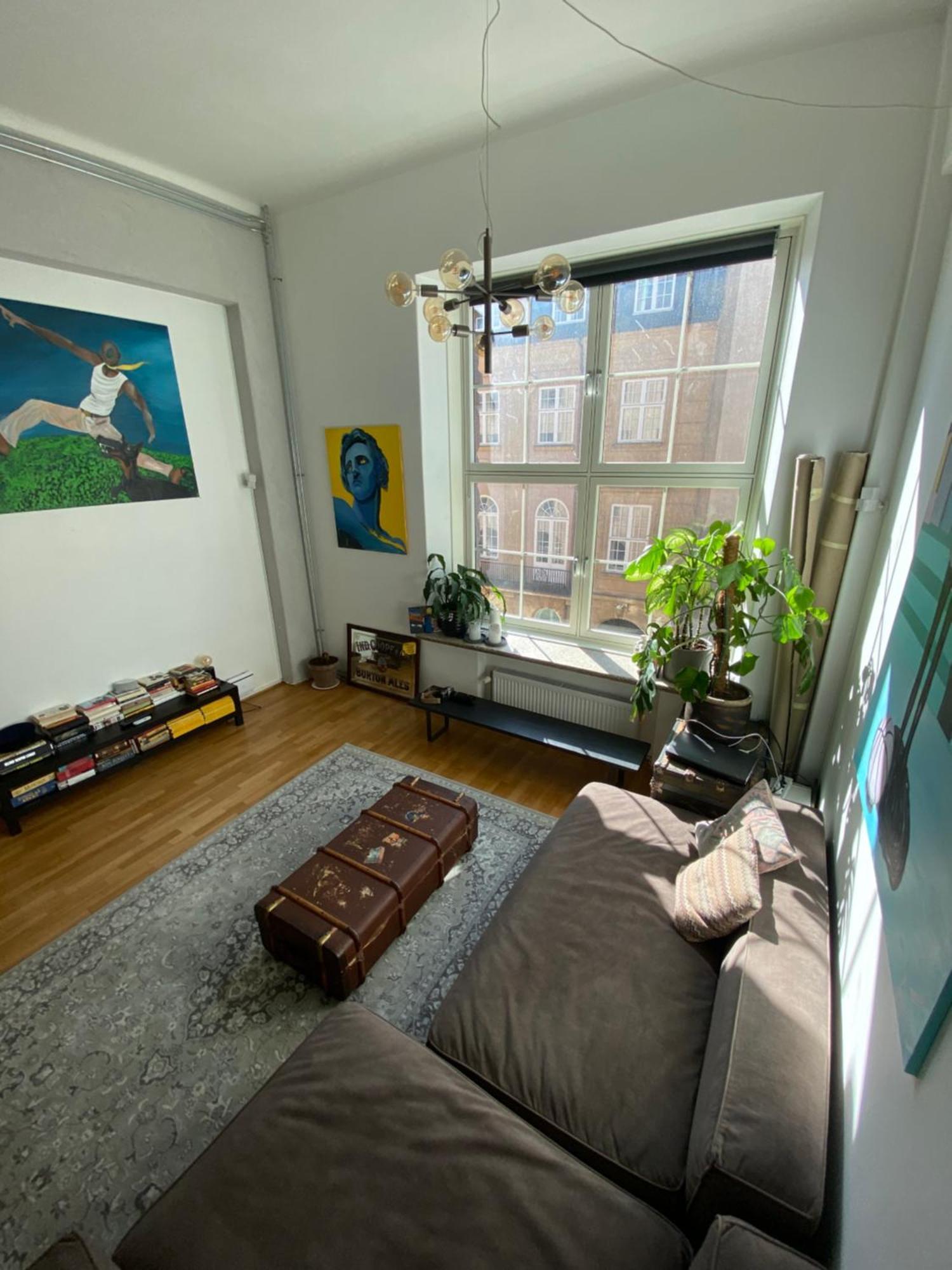 Art Loft In Downtown With Cinema Leilighet Oslo